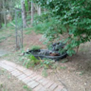 Meet your Posher, Joyce